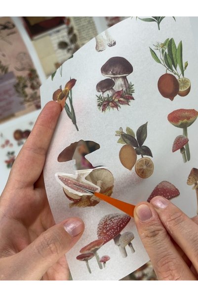 Kağıt Gemi Dükkan Blooming Garden Çiçek ve Meyve Temalı Sticker Defteri/50 Yaprak 403 Adet Sticker/Etiket/Çıkartma