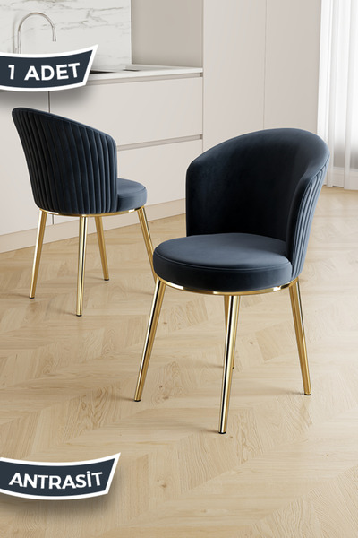 Canisa Risa Serisi 1 Adet Antrasit Mutfak Sandalyesi Gold Kaplama Metal Ayak ...