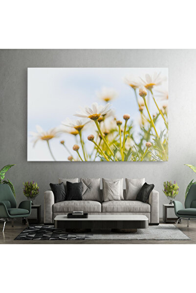 Arthub Canvas Painting, Bedroom And Living Room, Flowers, Dreamy Daisy