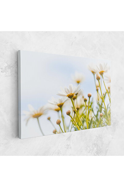 Arthub Canvas Painting, Bedroom And Living Room, Flowers, Dreamy Daisy
