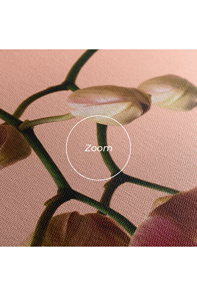 Arthub Canvas Painting, Bedroom And Living Room, Flowers, Orchids On Pink