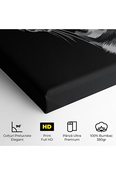 Arthub Canvas Painting, Bedroom And Living Room, Modern, Black Grey Cat