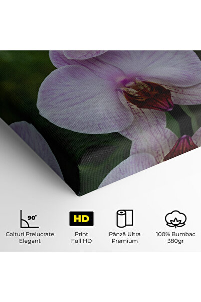 Arthub Canvas Painting, Bedroom And Living Room, Flowers, Garden Light Purple Orchid