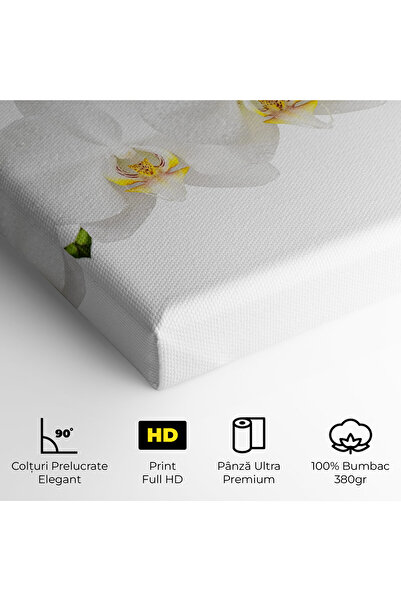 Arthub Canvas Painting, Bedroom And Living Room, Flowers, Orchids On White