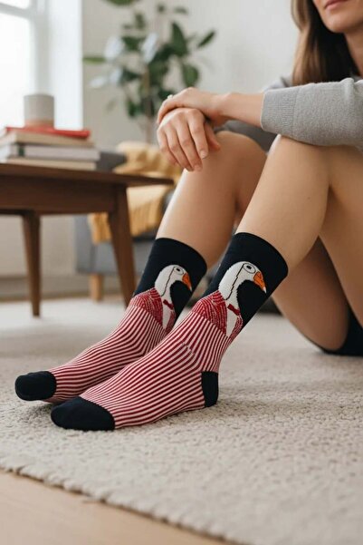 CANMODA Stork Patterned Socks (Suitable for Size 36-44)