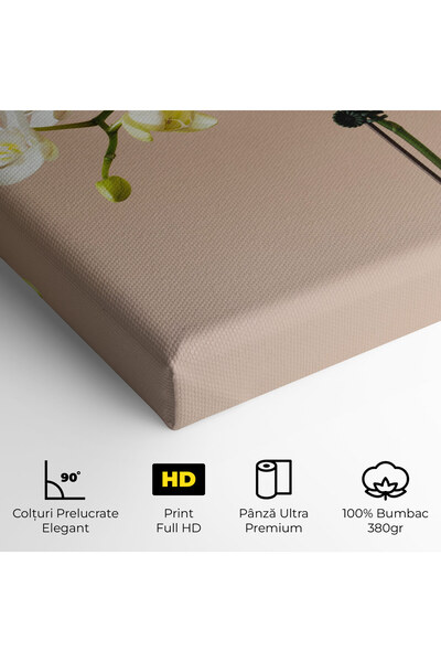 Arthub Canvas Painting, Bedroom And Living Room, Flowers, Cream Orchid On Pink