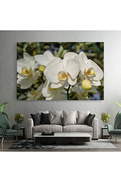 Arthub Canvas Painting, Bedroom And Living Room, Flowers, Big Orchids In Nature