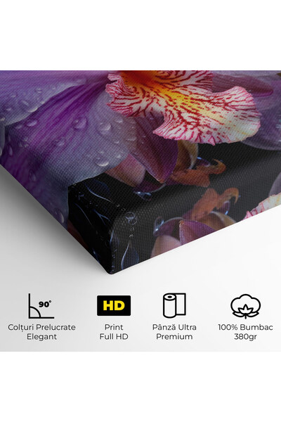 Arthub Canvas Painting, Bedroom And Living Room, Flowers, Orchid In Rain