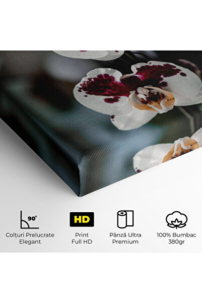 Arthub Canvas Painting, Bedroom And Living Room, Flowers, Dark Purple Orchid