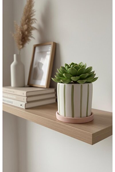 Hakdua Dizayn Premium Kalemlik , Kaktüs Ve Sukulent Beton Saksı Ev Dekorasyon...