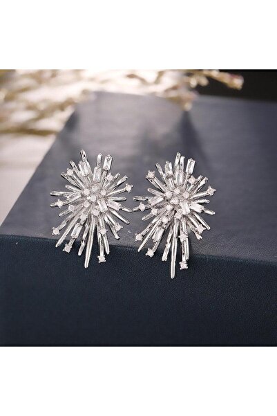 Pursehuit Cercei argintii, cu clipsuri și pietre de zirconiu, Irja C5