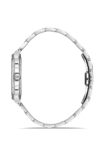 RMS Zeitmeister Rms.1.Ag2052.04 Steel Case with Calendar Steel Band 5 Atm Water Resistant Metallic Color E