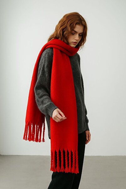 sf collection Women's Winter Soft Textured Tasseled Oversized Scarf