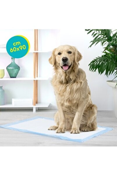 Record Tapiss Absorbent Pads - 60 x 90 cm (50 pcs)