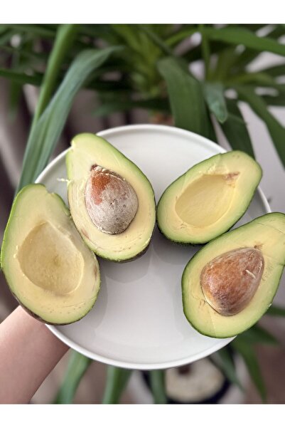 subahce 20 Adet Avokado (Kampanyalı Fiyat)