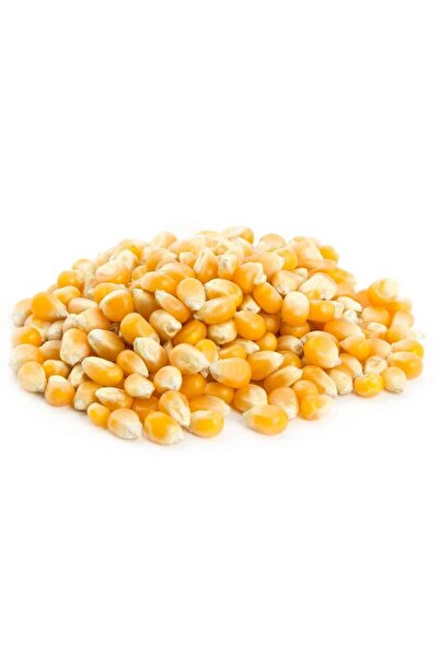 alatar Corn kernels (Popcorn) 1 kg