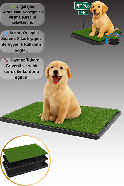 Hane Dostu Köpek Tuvalet Eğitim Pedi – 3 Katlı Sistemli, Kaymaz Tabanlı Kolay...