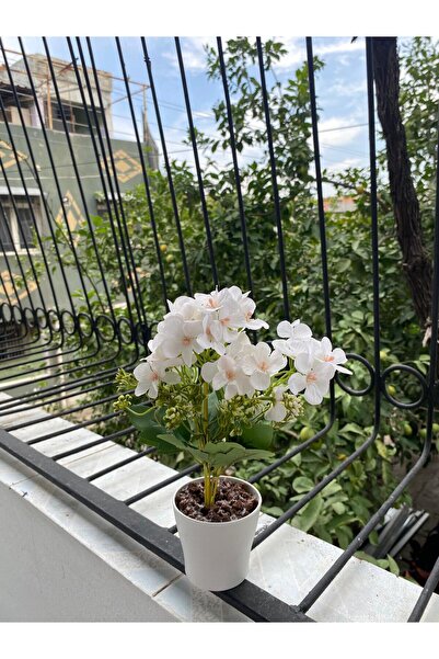 ORDAN ALDIM Saksıda Yapay Beyaz Menekşe