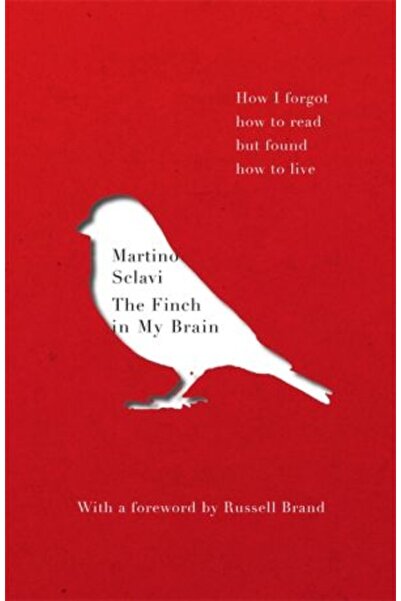 Hodder Finch in My Brain: How I forgot how to read but found how to live