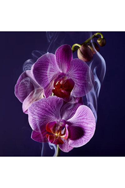 Lancome Lancôme La Nuit Trésor – Eau de Parfum 30 ml