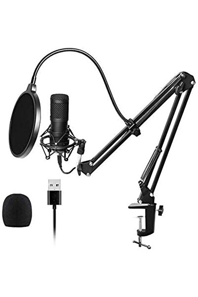 Arabest Professional microphone, microphone kit with sound card boom arm shockproof installation filter