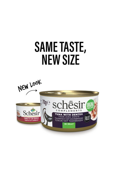 Schesir Complements Cat Wet Food in Jelly Can- Tuna With Dentex 70g