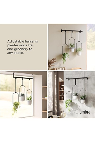 umbra Triflora Hanging Window Planters, Indoor Herb Garden, White/Black