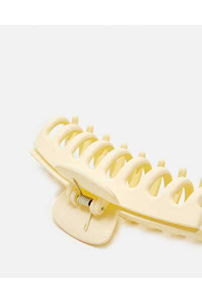 REDTAG Women Beige And Brown Hair Claw Set (Pack of 2)