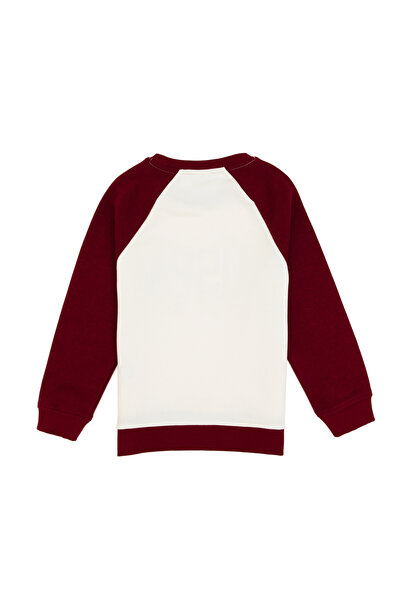 U.S. Polo Assn. Boy's Burgundy Crew Neck Sweatshirt 50316542-Vr014