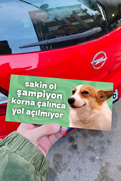 SARANG Çılgın Köpek Sakin Ol Şampiyon Araba Magnet Aksesuar