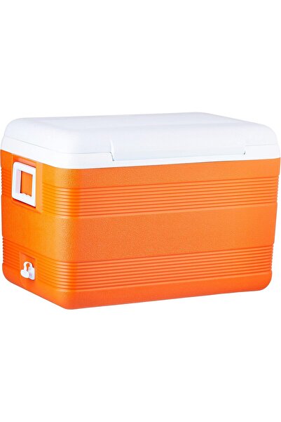 Cosmoplast Luxury Plastic Cooler Box, 40.5 L