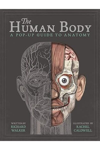 Templar Books جسم الإنسان: دليل منبثق لعلم التشريح