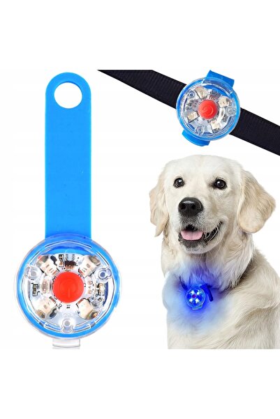 zola Pandantiv LED pentru zgarda, 3 moduri de iluminare, rezistent la apa, plastic, albastru