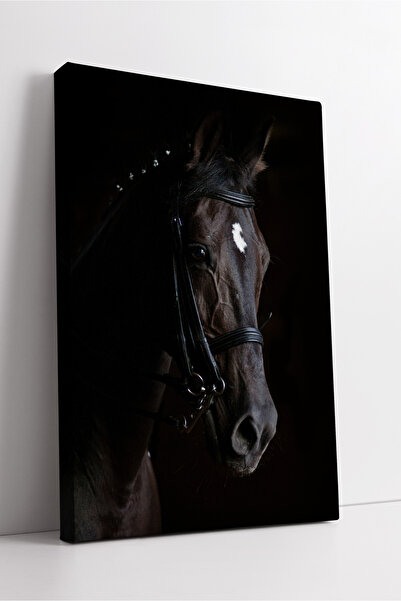 KOSS Dijital Siyah At Portresi Kanvas Tablo Asaleti ve Gücü Temsil Eden Karan...