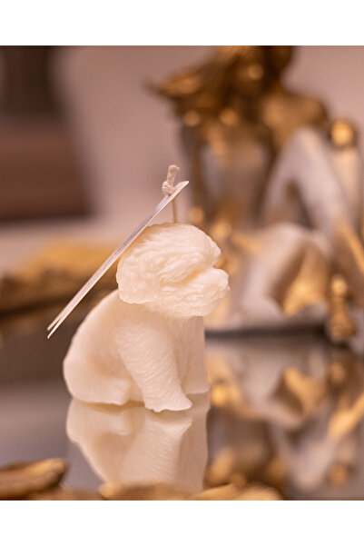 II Studio Lumânare de dragoste pentru căței