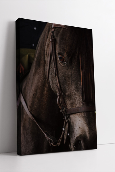 KOSS Dijital Pictură pe pânză cu cal negru în plan apropiat, decor artistic m...