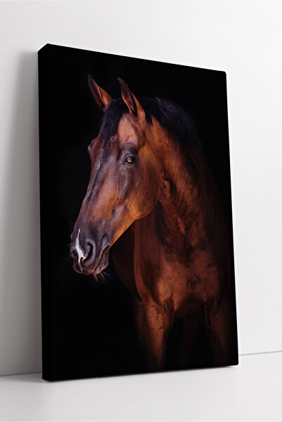 KOSS Dijital Pictură pe pânză cu portret de cal maro, decor modern și elegant...