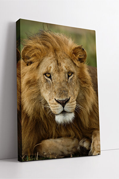KOSS Dijital Pictură pe pânză cu leu în odihnă, care combină liniștea puterii...