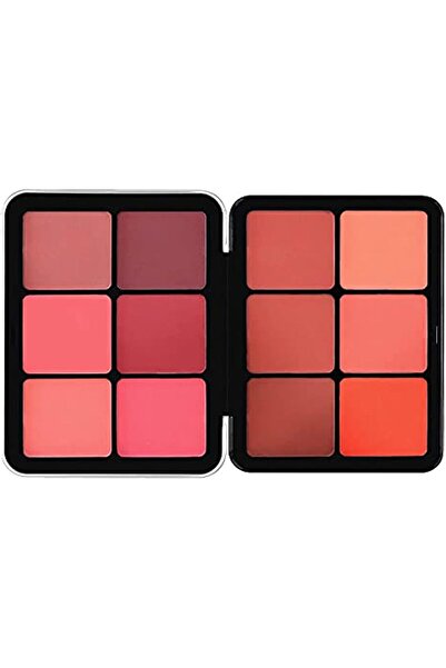 Make Over 22 cosmetics مجموعة أحمر الخدود ميك أوفر 22، 12 لونًا، BP01