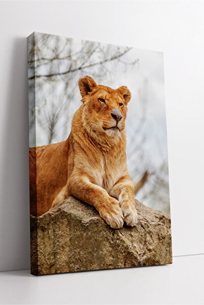 KOSS Dijital Pictură pe pânză cu leu femeie, artă decorativă modernă cu temat...