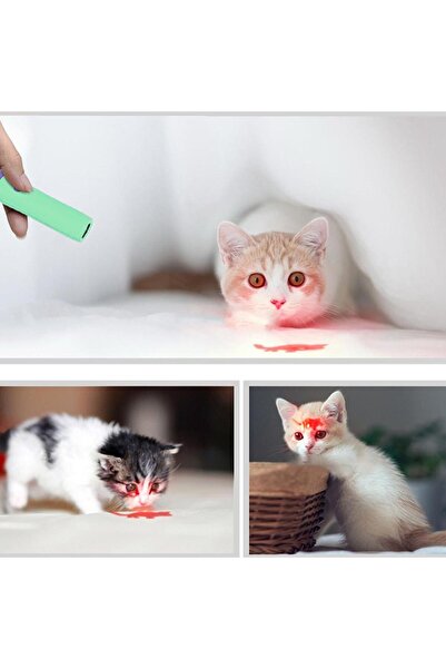 zola Cat toy with laser, plastic, 11.5x2.5 cm, green