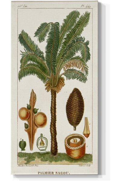 Emoda home Trove لوحة جدارية لنخيل التمر الأخضر من توربين - مطبوعات قماشية نب...