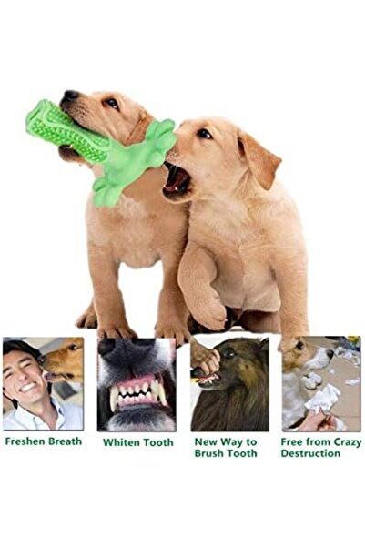 zola Dog toy for cleaning teeth, 2 surfaces, strengthens gums, rubber, 12x11.5x5 cm