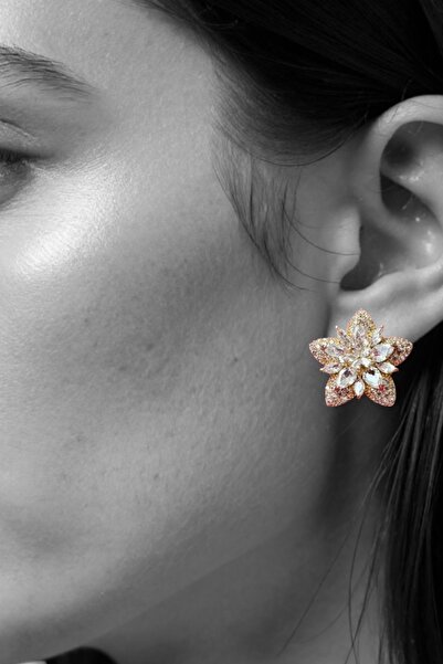 Mira Glam Plated earrings with zirconium stones