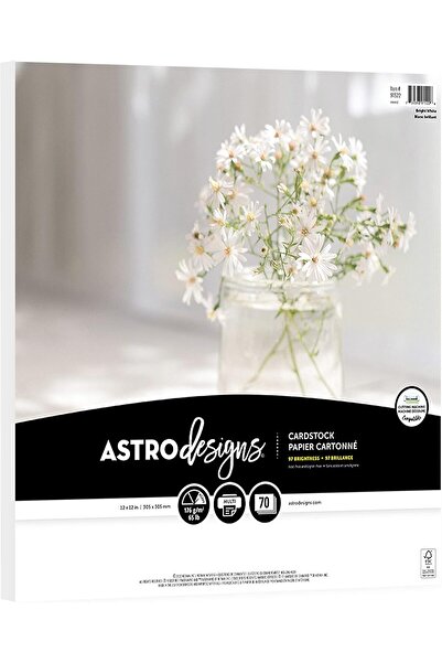 Generic بطاقات أستروديزاين كرافت، 12 بوصة × 12 بوصة، 65 رطل/176 جرامًا للمتر ...