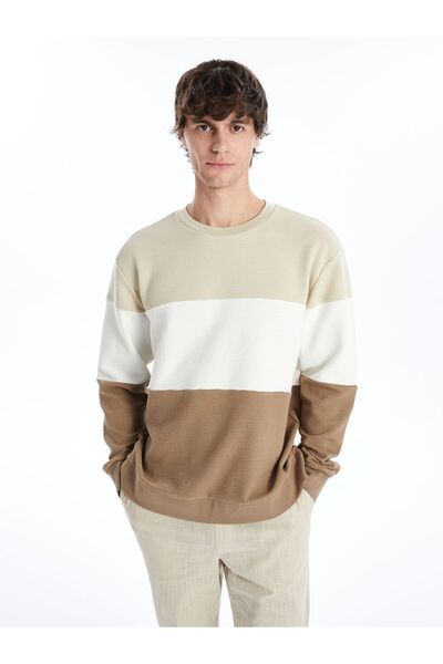 LC Waikiki Ανδρικό φούτερ με μακρυμάνικο χρώμα με λαιμόκοψη