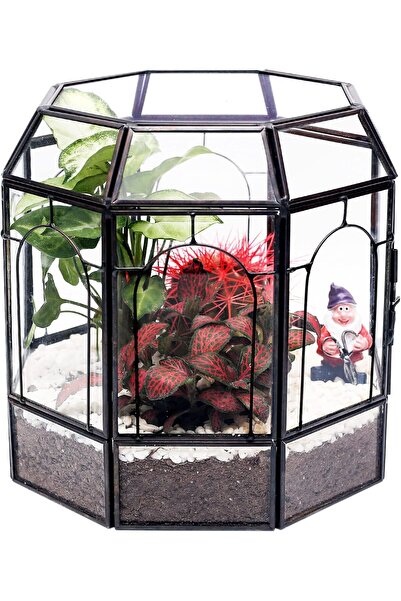 Generic حوض زجاجي كبير مصنوع يدويًا من ريدهوجو - قطعة عرض مركزية للنباتات الع...