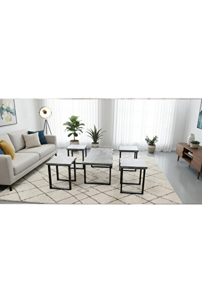 DEC49 Elegant coffee table set