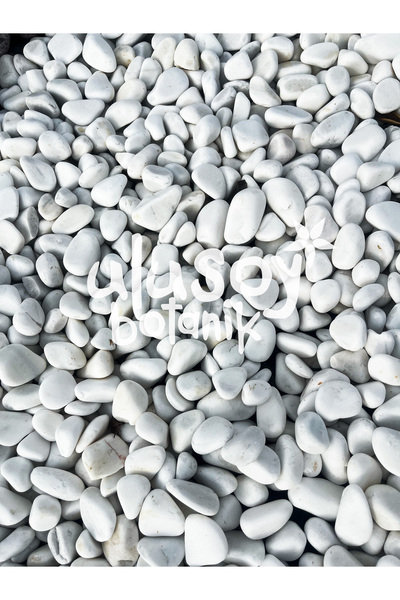 Ulusoy Botanik Dolomit Taş - Dekoratif Beyaz Taş - Bahçe Dekor / 1-2 cm / 20 kg