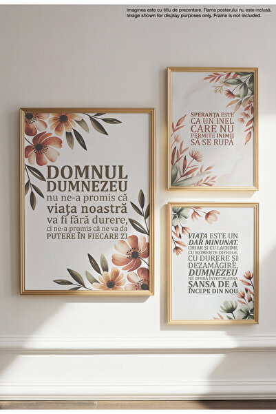 21mxm Religious Canvas Poster in Romanian Language – Unframed Digital Print on Canvas - Power Every Day